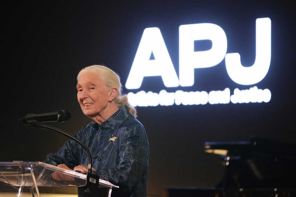 Jane Goodall